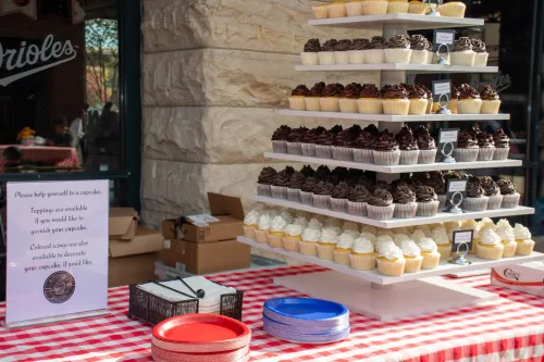 9th Annual Stars, Stripes & Chow — photo 4