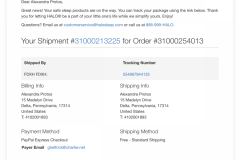 Halo-receipt-1