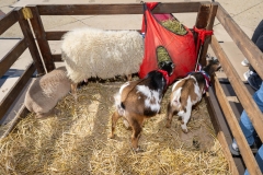 Baltimore-Station-Chili-2025-MF-0259