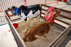 Baltimore-Station-Chili-2025-MF-0262