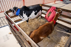 Baltimore-Station-Chili-2025-MF-0263