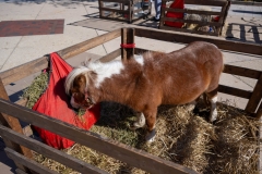 Baltimore-Station-Chili-2025-MF-0264