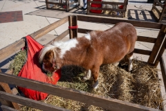 Baltimore-Station-Chili-2025-MF-0265