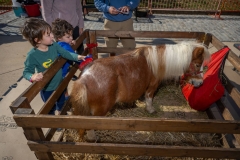 Baltimore-Station-Chili-2025-MF-0400