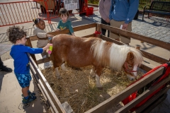 Baltimore-Station-Chili-2025-MF-0405