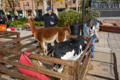 Baltimore-Station-Chili-2025-MF-0659