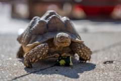 Baltimore-Station-Chili-2025-MF-3707