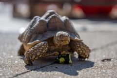 Baltimore-Station-Chili-2025-MF-3708