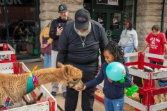Baltimore-Station-Event-Stars-Stripes-and-Chow-32