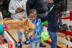 Baltimore-Station-Event-Stars-Stripes-and-Chow-34