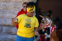 Baltimore-Station-Chili-Cookoff-2024-MF-5470