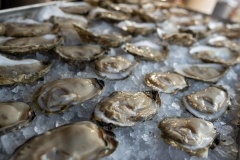 Hammerjacks-Baltimore-Station-30th-MF-7030