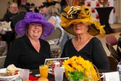 Off-To-The-Races-2025-MF-6510
