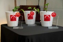 Baltimore-Station-Volunteer-Event-MF-5267