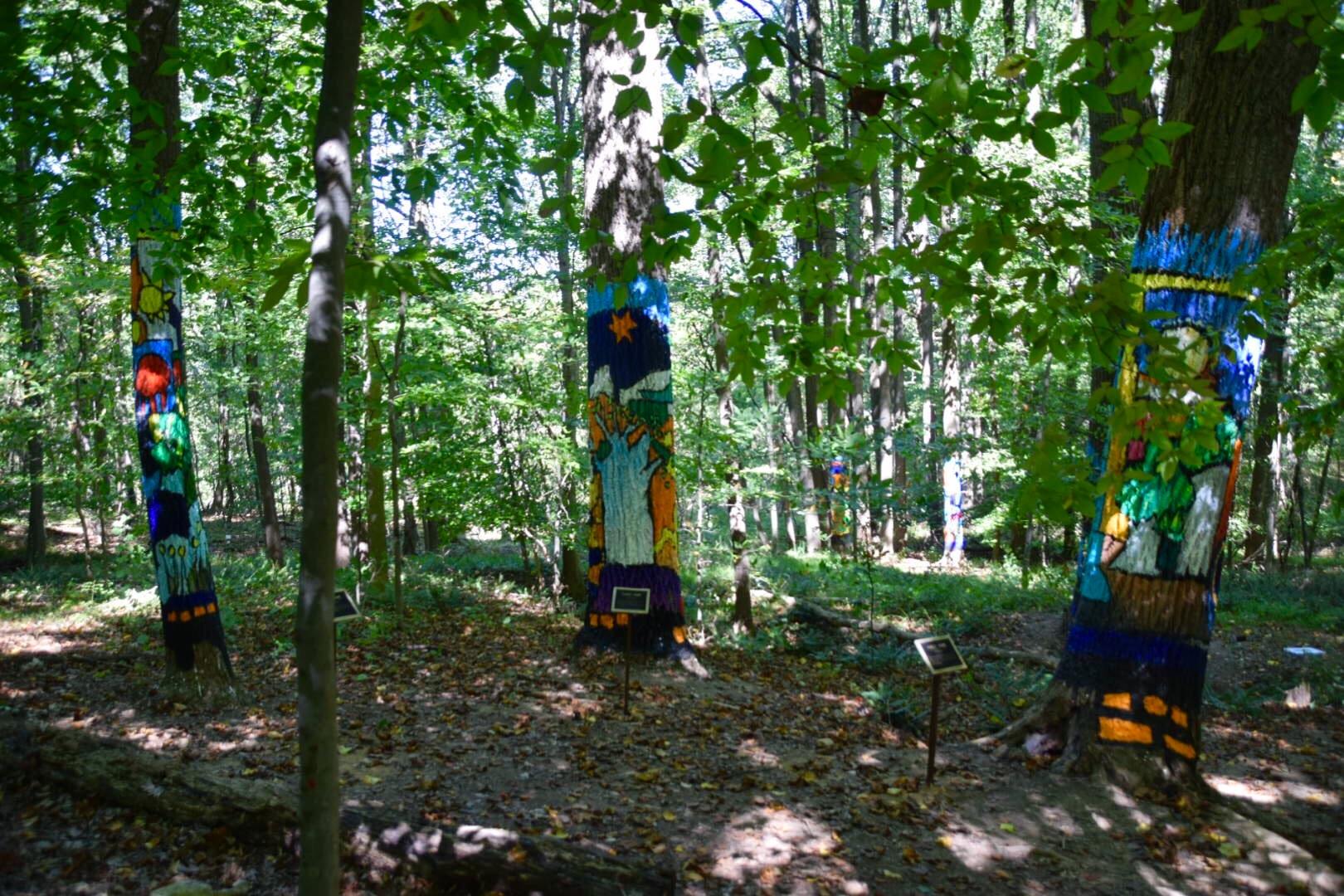The Forest of Hope