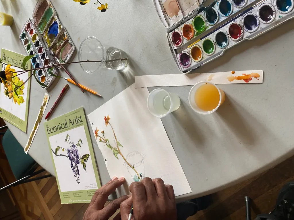 Program activity